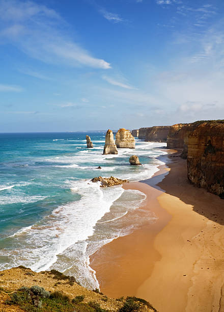The Twelve Apostles, Great Ocean Road, Victoria (Australia) Vertical format version, looking down at the beach.

See more Victorian Landscapes Here:

[url=/file_search.php?action=file&lightboxID=6478622][img]/file_thumbview_approve.php?size=1&id=2252380[/img][/url]