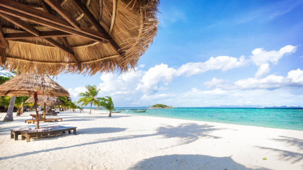Empty sunny Koh Lipe island Beach with tall palms and beach bungalows
