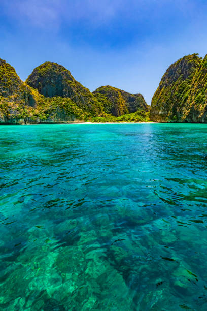 Maya Bay is one of the most famous beaches on Phi Phi Lay. But today there is no tourists on the beach because it needs to be temporarily closed