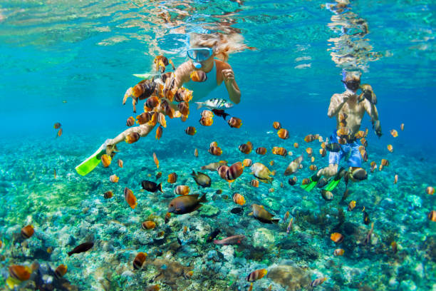 Happy family vacation. Young couple in snorkeling mask hold hand, dive underwater with fishes in coral reef sea pool. Travel lifestyle, watersport adventure, swim activity on summer beach holiday