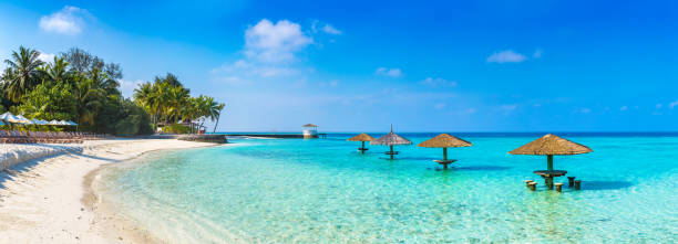 Sea parasol on a tropical beach in a sunny day