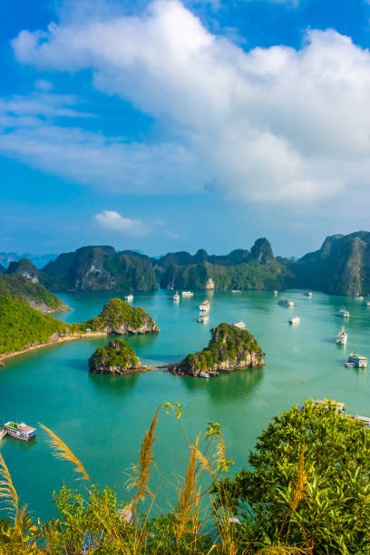 HA LONG BAY, VIETNAM, JANUARY 6 2020: Beautiful landscape of Ha Long Bay