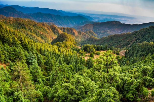Mussoorie to beautiful Dehradun view from above
