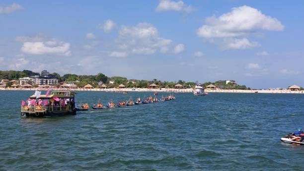 Alter do Chão-Carapanari-Amazônia-Brazil