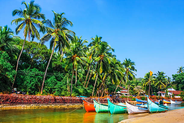 bright boats on the river bank  in tropic with palms and blue sky. Goa, India