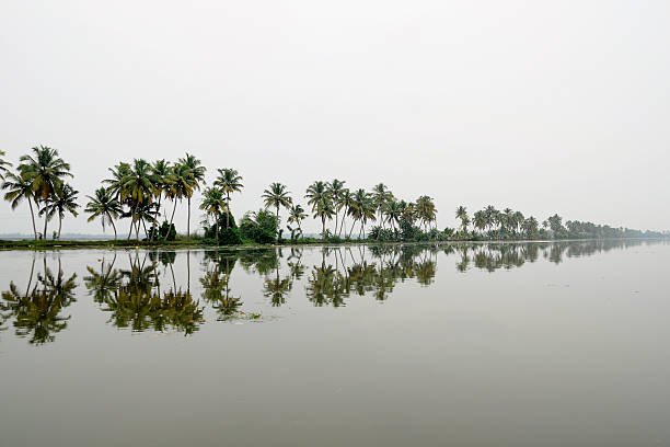 Palm trees reflection in Kerala backwaters, Alappuzha, Kerala, India