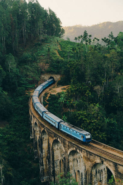Scenic view of Nine Arch Bridge in Sri Lanka